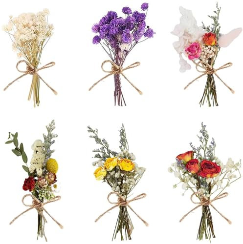 Trockenblumenstrauß Klein, 6 Bündel Getrocknete Blumen, NatürlicheTrockenblumen Klein, Trockenblumen Zum Basteln Getrocknete Blumenstrauss für Bilderrahmen DIY Heim-Party Und Hochzeitsdekoration