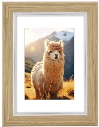 Hama Lima Plastic Photo Frame, Oak, 20 x 30 cm