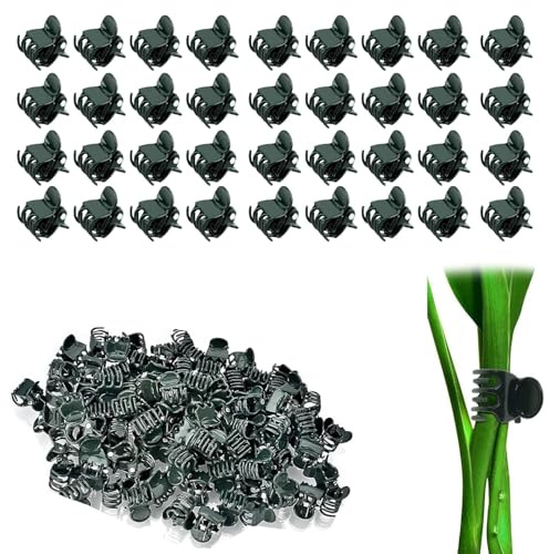 YUNYU 100 clip per piante, piccole clip di supporto in plastica verde scuro per fissare verdure, orchidee, viti e fiori in giardini o serre