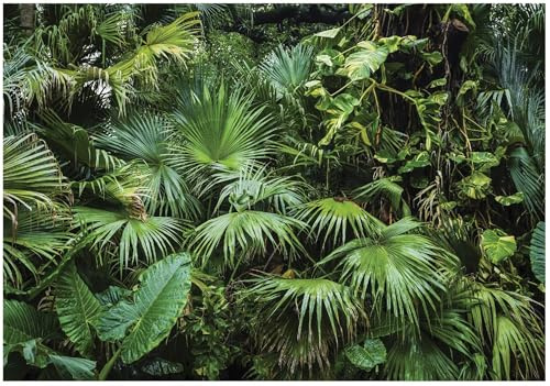 WallArena - Fotomural de vellon Selva, Paisaje, 400x280 cm - Fotomurales - Papeles pintados - para salon y dormitorio - Papel pintado de vellon mural de pared efecto 3D - incl, cola - Verde
