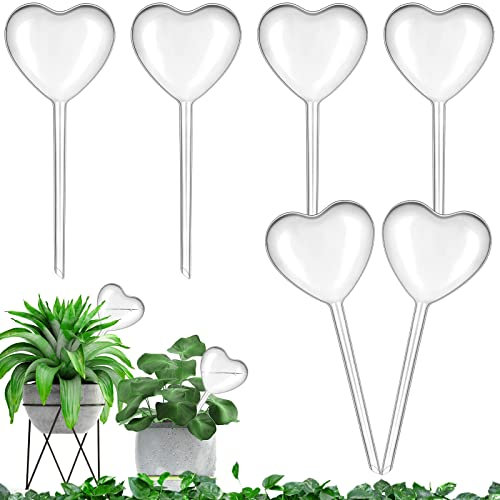Vergissmeinnicht 6 Pack Large Plant Watering Bulbs Automatic Self Watering Globes Plastic Drip Irrigation Device for Indoor Outdoor Plants