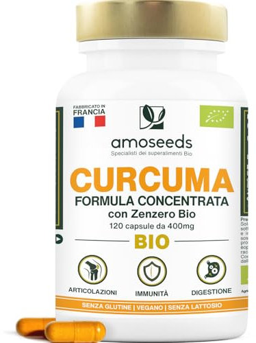 Curcuma BIO con Zenzero | Alta concentrazione, 95% di curcuminoidi | Curcumina Alto assorbimento | Riduce i dolori articolari | Senza piperina | 120 capsule | Qualità Superiore