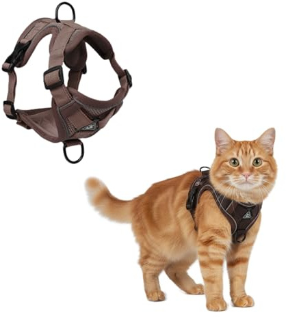 Xvbhaq Cat Harness and Leash Set, Vest Harness Escape Proof Adjustable Vest with Reflective Strips for Dark Night, Soft Breathable Mesh Jacket for Kitten Puppy Outdoor Walking (S)