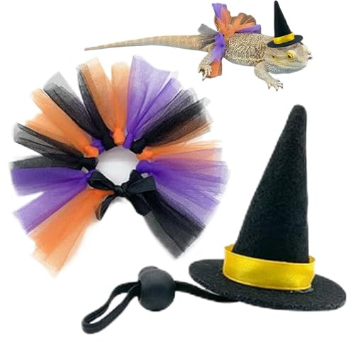 Ancsttu Costume de Lézard - Chapeaux De Sorcière Et Jupons | Fournitures pour Animaux De Compagnie pour Reptiles,Amphibiens,Oiseaux,Serpents,Hamsters,Tortues,Perroquets,Hérissons Et Halloween