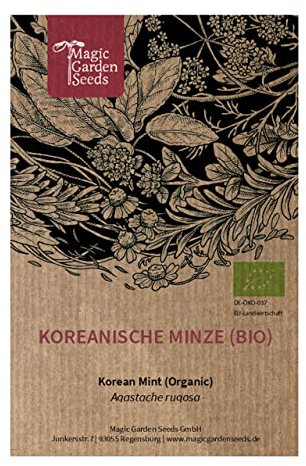 Menthe de Corée (Agastache rugosa) Bio - env. 250 graines délicieuse herbe à thé plante mellifère Ancienne plante médicinale de la MTC
