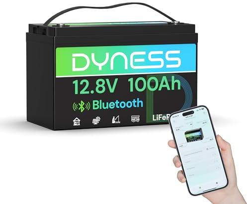 Dyness Batteria LiFePO4 12V 100Ah Bluetooth, Batteria al Litio con BMS 100A, Protezione a Basse Temperature, per Nautica, Camper, Impianti Solari off-grid