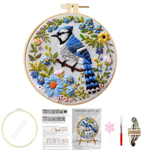 Huacan Kit de Broderie pour Adultes Débutant 1 Pièce Pré - Imprimé Oiseaux Embroidery Starter Kits D'aiguilles de Fils de Couleur 29 x 29 cm