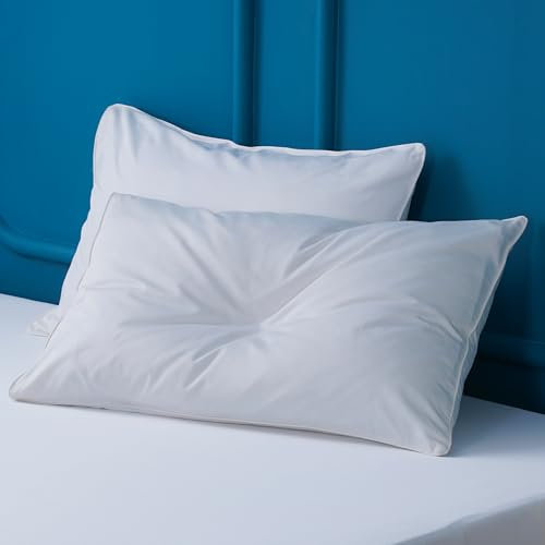 Sheet Story Bamboo Pillow Cases 2 Pack - 50x75cm Size - 400 Thread Count - Hypoallergenic, Soft and Cooling White Pillowcases 2 pack