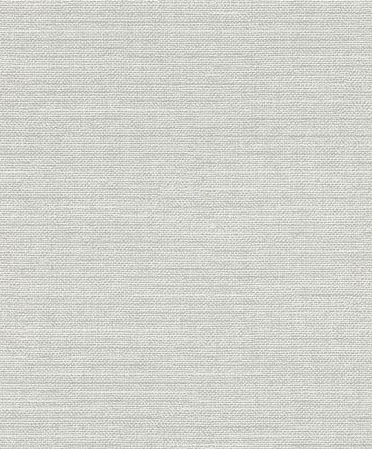 Rasch Tapeter 312133 – unik tapet av fleece i ljusgrå från kollektionen Color your life – 10,05 m x 0,53 m (L x B):