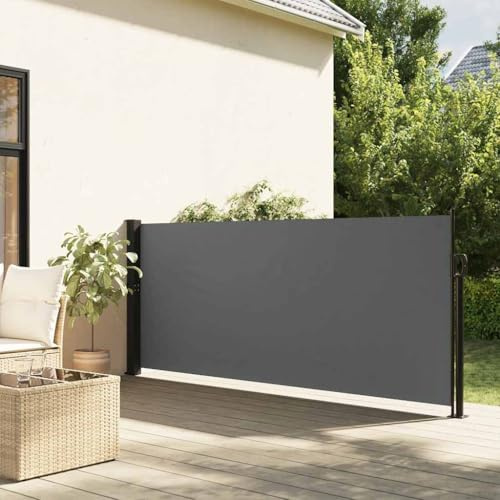 Emmtore Seitenmarkise, Wandmarkise mit PU-Beschichtung, Sichtschutz für Balkon Terrasse Garten, Windschutz Markise Anthrazit,100 x 300 cm