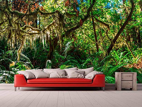 Oedim Fototapete Wallpaper Wand Urwald | Fototapete für Wände | Wandbild | Dekoratives Vinyl | Verschiedene Maße 100x70 cm | Dekor Esszimmer, Wohnzimmer, Zimmer ...