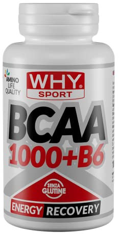 WHY SPORT BCAA 1000 + B6 - BCAA 2.1.1 - Aminoacidi Ramificati con Vitamina B6 (100)