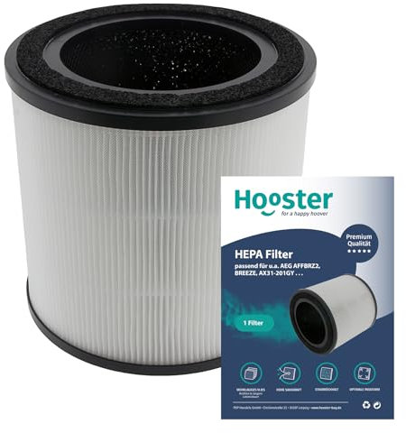 1 Filter kompatibel mit AEG AX31-201GY Luftreiniger | Ersatz für AEG AFFBRZ2 BREEZE Luftfilter