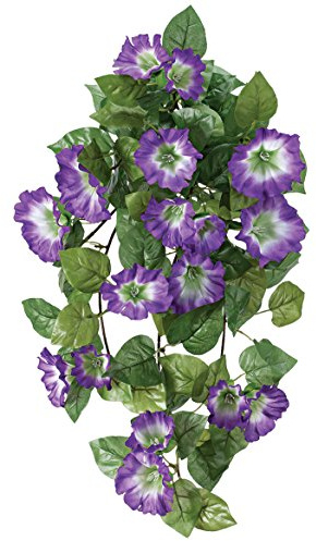 OakRidge Petunia Hanging Stem Outdoor