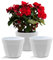 Santino ASTI Lot de 3 Pots de Fleurs à Arrosage Automatique - 23 CM - Auto-Arrosant - avec Indicateur de Niveau d'eau - pour Toutes Les Plantes D'intérieur (Ø 23,5 cm, H 18 cm, 6L - Gris/Blanc)