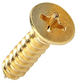 Runxingfu Tête Fraisée Taraudage Vis a Bois - M2 M3 M3.5 Laiton Tête Cruciforme Vis Autotaraudeuse 10/100 Pièces Tête Plate Allongé Vis a Bois