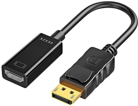DiisplayPort VGA Adaptateur HDMMI avec Sortie DVI | Adaptateur DP multiport pour Ordinateur Portable et Moniteur | Adaptateur DiisplayPort DVI pour Bureau, Maison et