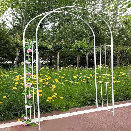 ZYXWLC Arco per Rose Rampicanti, Arco da Giardino in Metallo Garden Pergolas Metallo Arco Sostegno Decorazione Giardino 240cm, 250cm, 260cm, 280cm, 300cm, 320cm W(Bianco,W260XH270CM)