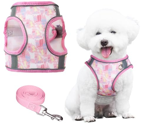 PawSailor Antiescape Arnés Perro Extra Pequeño con Correa Sin Tirones con Estampo, Arnés Chaleco Cómodo Transpirable, Ajustable Reflectante Arnes Antitirones para Cachorros, Gatos Rosa XXXS