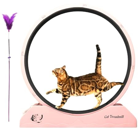 ETUCYNG Rueda de Carreras para Gato,Equipo de Fitness para Gatitos - Rueda de Ejercicio Felino de Interior, Seguro