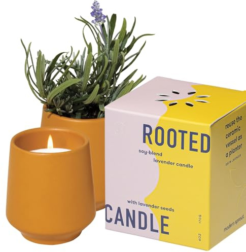 Modern Sprout - 2 in 1 Cedarwood Scented & Soy Candle with Seeds that Grows into Lavender Plant - 6 oz w/ 42 hr Burn time in Matte Glaze Ceramic Vessel Ideal for Indoor Herb Garden