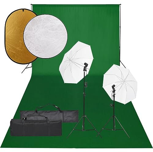 vidaXL Fotostudio-Set mit Beleuchtung, Hintergrund und Reflektor, Studio-Kit, Tageslicht-Lampe, Studio-Beleuchtung-Set, Studio-Licht, Fotografie-Licht
