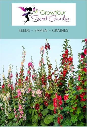 ose trémière Chater’s Double en mélange - Alcea rosea 20 Graines- vivace