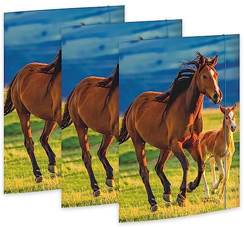 RNKVERLAG 45353-3 - Zeichenmappe Free Horses 310 x 440 mm, 3 Stück, DIN A3, mit Gummizugverschluss