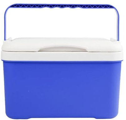 Auto Minii Kühlschrank – 6L Thermoisolierter Reisekühler, Auto-Gefrierschrank, tragbarer kompakter Kühlschrank für Strandausflüge, Automobil-Camping, Mini-Kühlschrank, allgemeiner ,