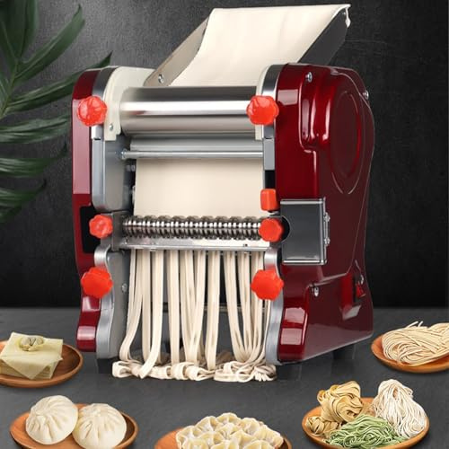 cendbirut Máquina para Hacer Fideos, máquina para Hacer Pasta eléctrica Grande 2 en 1 y máquina de prensado de Pasta, Acero Inoxidable, 750 W (Fideos Planos de 3 mm y 9 mm),Large