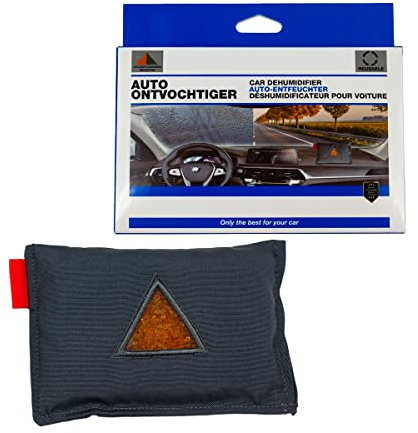 paymali Auto Luftentfeuchter Wiederverwendbar Entfeuchter-Kissen für Beschlagene Autoscheiben