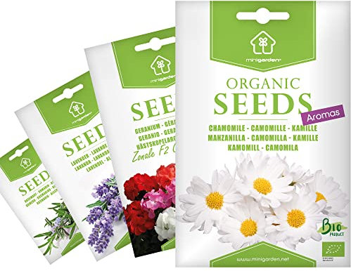 Graines Biologiques Minigarden, 6350+ Graines, Sélection AROMES: Camomille, Romarin, Lavande et Géranium