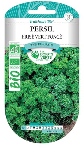 Graines de persil frisé vert foncé BIO Les Doigts Verts