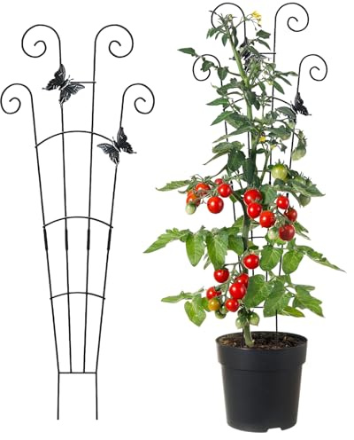 Supporto Per Piante Rampicanti Da Giardino In Metallo 76x30 Cm - Può Essere Assemblato Su Tralicci Da Giardino, Pali Di Supporto Per Piante Monstera E Recinzioni Per Aiuole | Per Viti, Rose, Cl
