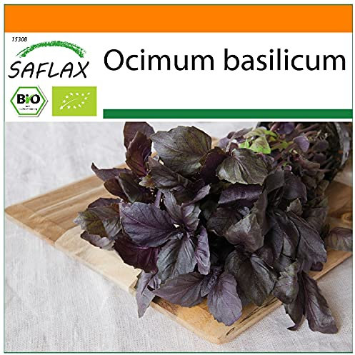SAFLAX - Ecológico - Albahaca Roja - 400 semillas - Ocimum basilicum