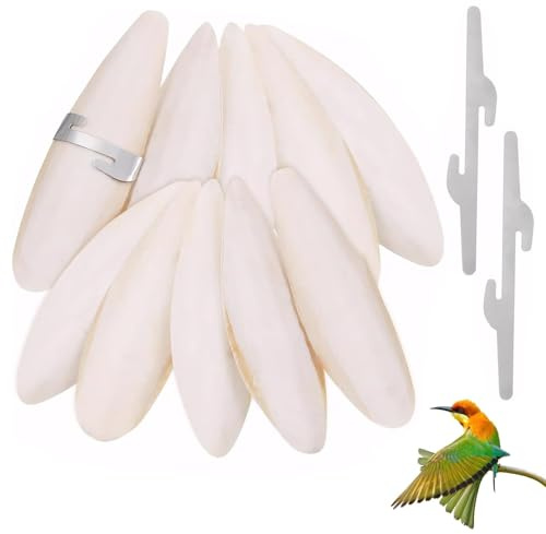 10PCS Cuttlefish Bone for Birds Tortoise 7-9 11-13CM with 2 Metal Holders