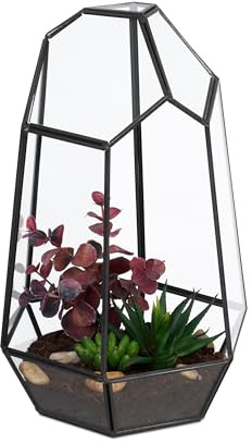 Relaxdays Terrario Piante, Mini Serra Vetro e Zinco, HLP 25x17x15 cm, Piantine Grasse e Muschi, Vaso Ecosistema, Nero