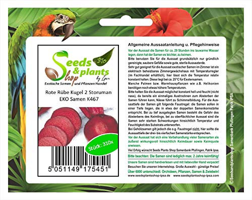 Stk - 310x Rote Rübe Kugel 2 Storuman EKO Rüben Gemüse Garten Pflanzen - Samen K467 - Seeds & Plants Shop by Ipsa