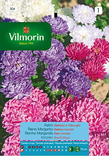 Semillas de REINA MARGARITA BELLEZA VARIADA S-1, 0,8 gr