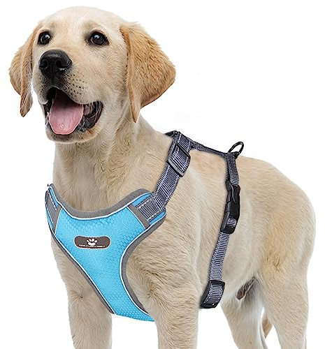 Acxilexy Arnés Cómodo Transpirable Anti Tirones para Perro, Ajustable Con Asa y Anillos, Reflectante y Táctico para Perros Grandes, Medianos y Pequeños