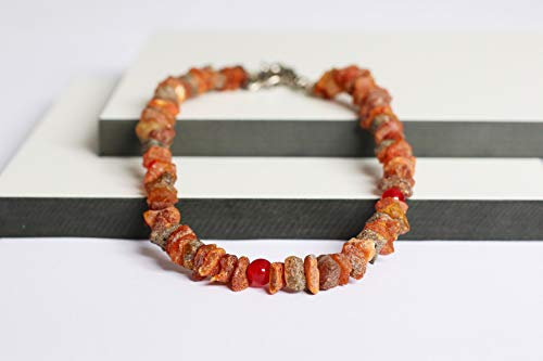 Bernsteinkette für Hunde aus Roh Baltischer Bernstein mit Rote Jade Beads verziert | Zeckenhalsband | Bernstein Gegen Zecken | Zecken und Flohschutz Halsband (30-35 cm)
