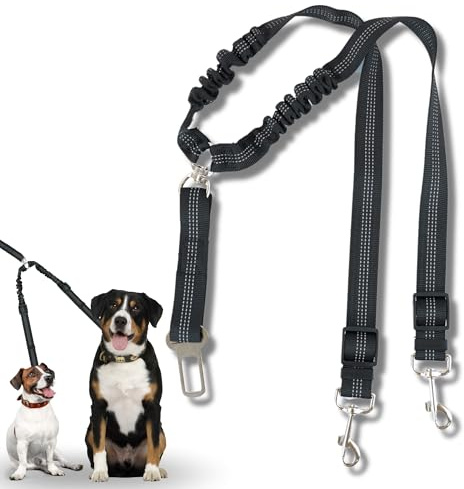 RAPIO® Cinturón de Seguridad Para Perro en Coche - Correa Con Doble Enganche | Accesorios Para Mascotas