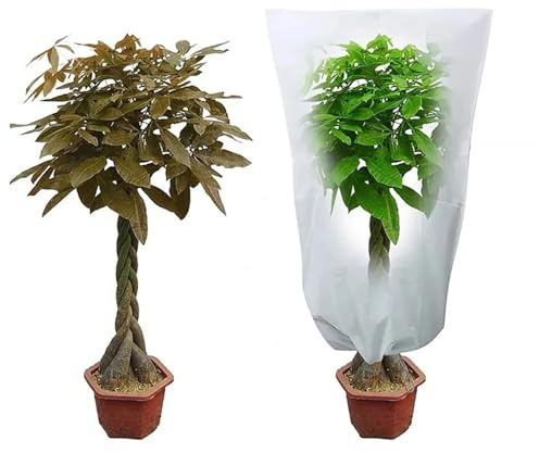 ZUGLQYSX 2 Bolsas de protección Invernal for Plantas contra el frío y Las heladas, Ideales for Cubrir jardín. con Cremallera, cordón Ajustable Transpirable para Plantas de Invierno(White,60x80cm)