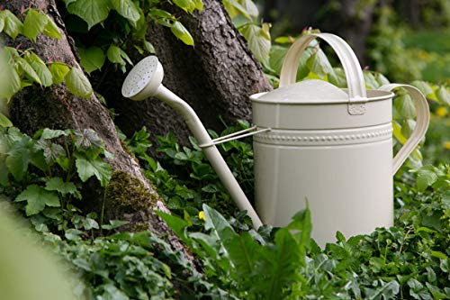 Gießkanne 10 Liter Creme Metall Zinkkanne Verzinkt Kanne 1015 Giesskanne