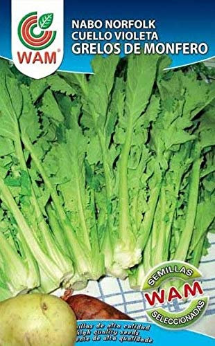 Nabo Norfolk cuello violeta Grelos de monfero 250 Gr Wan