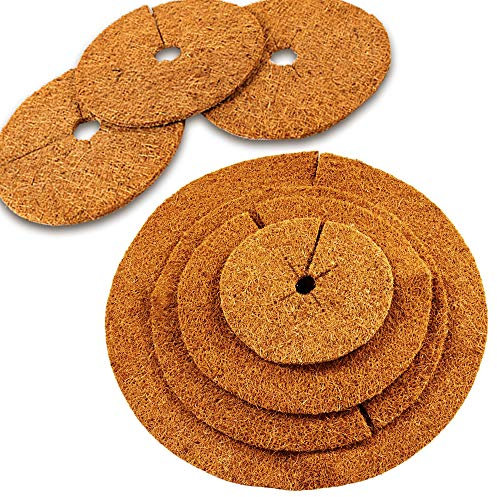 MW.Shop.24 Kokos-Mulchscheibe/Kübelabdeckung/Winterschutz für Topfpflanzen/Pflanzenschutzmatte/Unkrautschutzmatte (25 cm - 1 Stück)