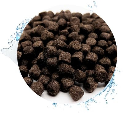 Koifutter Winter sinkend, 5 mm, Herbst & Winterfutter 5 KG - sinkend, ab 5 Grad Wassertemperatur