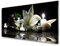 Tulup Glasbilder 100x50cm - Wandbild Druck auf Glas XXL Panorama-Bild Wandbilder aus Echt-Glas Sicherheitsglas Kunstdruck für Küche Wohnzimmer Steine Blume Kerzen Kunst