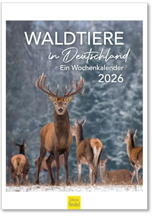 Edition Seidel Calendario premium de animales del bosque en Alemania, calendario semanal 2026, formato DIN A4, calendario de pared, animales, bosque natural