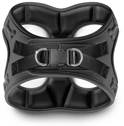 Comfort Fit Step-in Hundegeschirr & Welpengeschirr – Bequemes Allwetter-Hundegeschirr: verstellbar, weich gepolstert, einfach anzuziehen für kleine, mittelgroße Hunde
